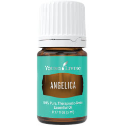 Angelica Essential Oil