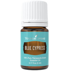 Blue Cypress Essential Oil