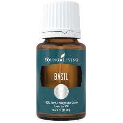 Basil Essential Oil